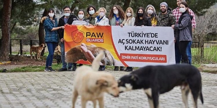 ‘Pati Koruyucuları Derneği’ 3 Ayda 40 Ton Mama ile 140 Bin Sokak Hayvanını Besledi