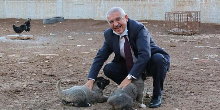 İYİ Parti’li Yokuş: Hayvanlar “mal” değil, “can”