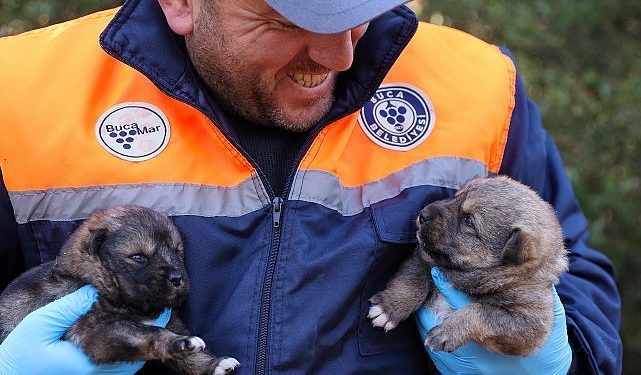Buca Belediyesi’nin atık yemek seferberliği