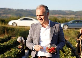 İnegöl Tarımı Şahlanıyor