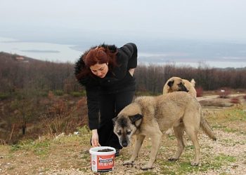 Kırsaldaki can dostlara gönüllü destek