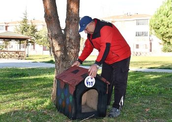 Mustafakemalpaşa Belediyesinden Kedi Evi Projesi