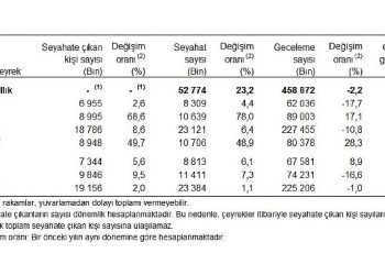 Yurt içinde ikamet eden 19 milyon 156 bin kişi seyahate çıktı